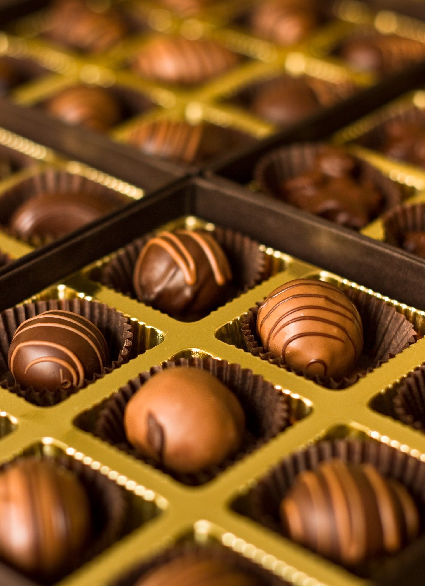 Close-up of Chocolate Philosophy truffles with piped chocolate stripes, set in gold trays